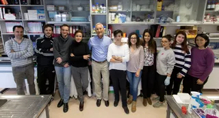 Equipo de laboratorio dirigido por el profesor Eugenio Santos