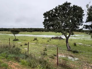 GALERÍA | Efectos de la borrasca 'Nelson' en la provincia de Salamanca