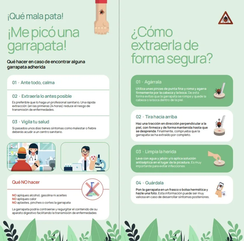 Consejos del 1-1-2 ante una extracción de garrapata | Centro de Coordinación de Emergencias del 1-1-2 de Castilla y León
