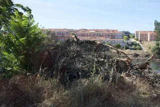 DSC 3083
