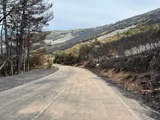 Paso de los lobos hacia Monsagro (22)