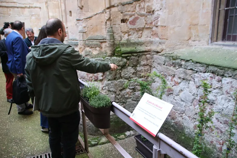 “El patio de la Rectoral: Vida silvestre en la Casa-Museo Unamuno”