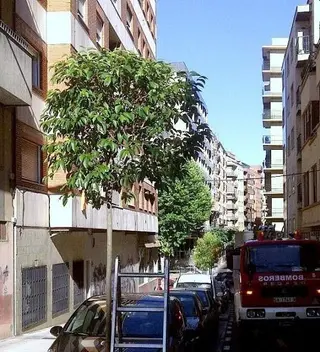 Incendio en una cocina de la calle Melchor Cano