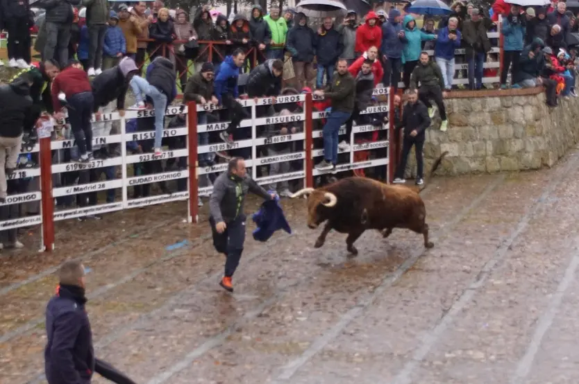 Encierro urbano lunes de Carnaval Ciudad Rodrigo 2025: encierro y ambiente. Foto: Juanes