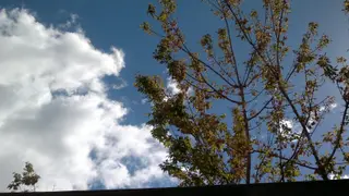 Imagen de archivo: Cielo nuboso y soleado