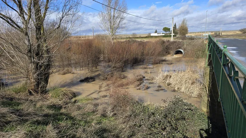 Rio Almar en Alconada este 5 de febrero