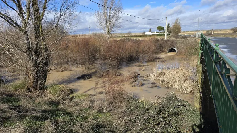 Rio Almar en Alconada este 5 de febrero