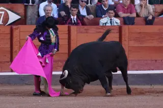 Corchoso de Garcigrande y Morante de la Puebla | Juanes