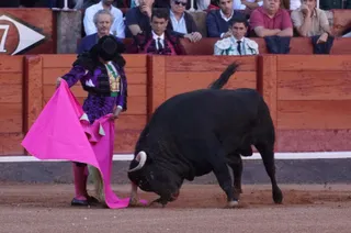 Corchoso de Garcigrande y Morante de la Puebla | Juanes
