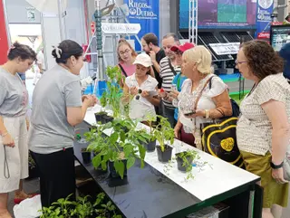 Un momento del taller de semillas del futuro 