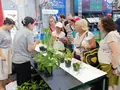 Un momento del taller de semillas del futuro