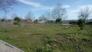 Huerta Otea
