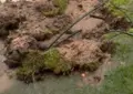 Intensa Tormenta Cae En La Provincia De Salamanca