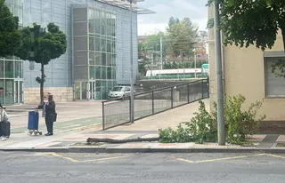 Cae un árbol en el paseo de la Estación
