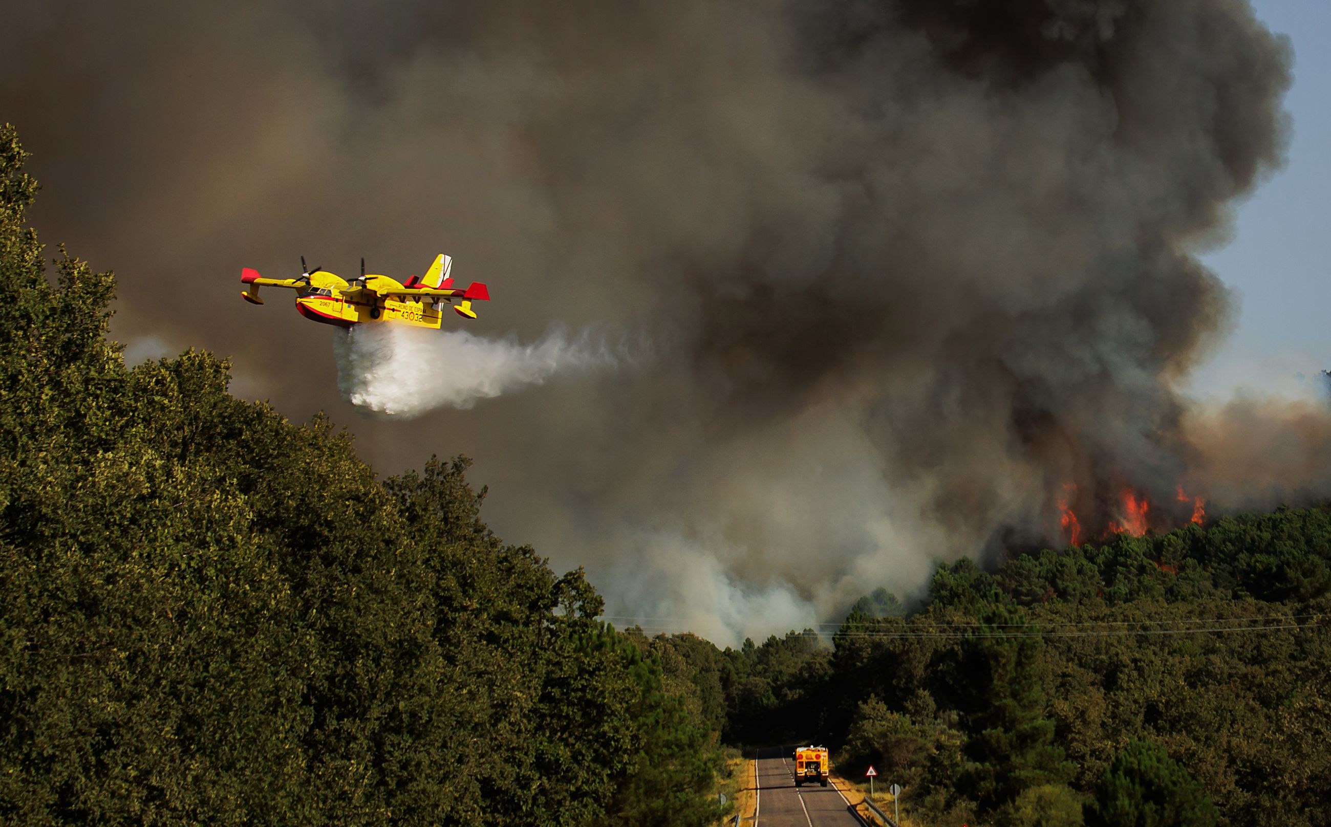 Incendio forestal en El Payo, ICAL Jos&eacute; Vicente (6).jpg