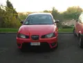 Seat Ibiza Cupra robado en Castellanos de Moricos