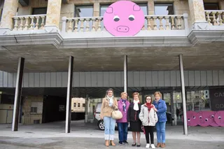 Guijuelo cerditos contra el cancer mama