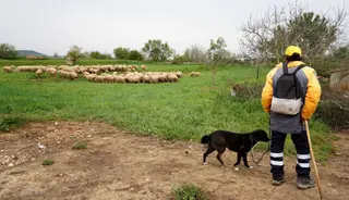 Pastor