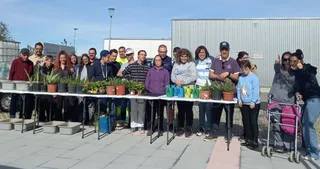 Usuarios de la Biblioteca Municipal de La Vega y de Asprodes han plantado un total de 29 alcorques savios en Padre Ignacio Ellacuría y plaza de la Vega