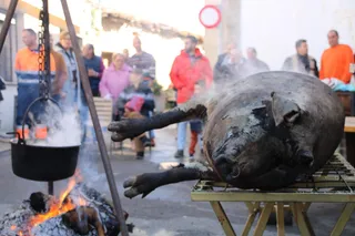 Matanza Típica en Castellanos de Moriscos