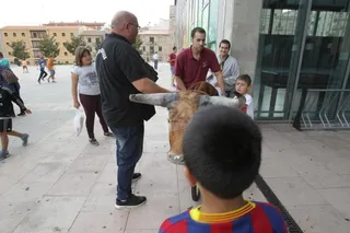 Encierro infantil