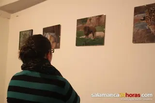 Alejandro Zapater expone sus peculiares 'Miradas' en el Ateneo
