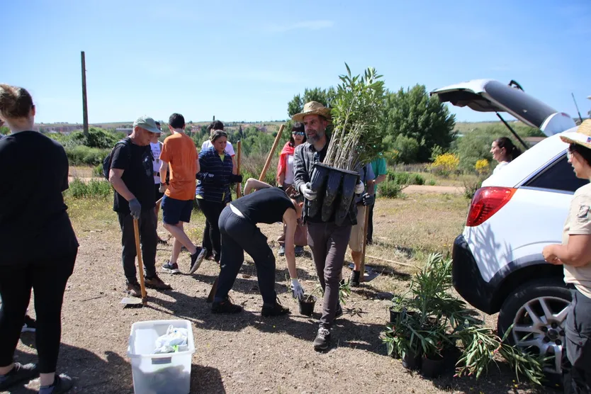 Voluntariado ambiental en el Marín de la Fundación Tormes EB para plantar adelfas como refugio de fauna