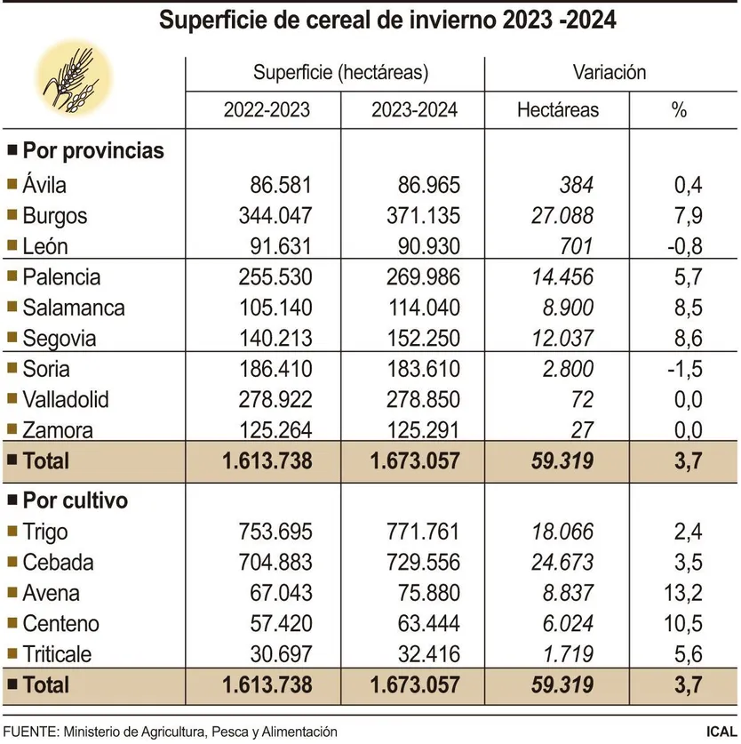 Superficie de cereal en Castilla y León. Foto ICAL