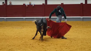 Bolsín taurino de Alba de Tormes: tercera tienta