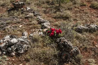 Este viernes comienzan las exhumaciones de Abundio Andaluz y los maestros asesinados en Cobertelada