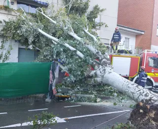 La borrasca 'Ciarán' causa grandes destrozos en Salamanca