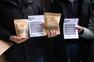 El sector de las legumbres y el cereal se manifiesta en Gran Vía contra Mercosur | Andrea Mateos