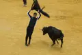 Alba de Tormes arranca la mañana con su encierro de vaquillas y capea