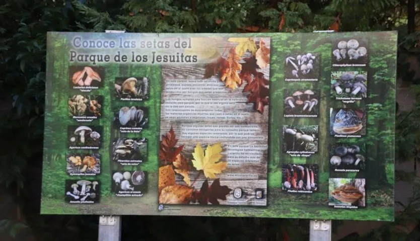 Presentación de las XXX Jornadas Micológicas y un nuevo recorrido micológico por el Parque de los Jesuitas