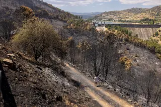 ¿Y ahora qué?: El desafío de reconstruir el campo tras el paso del fuego - ICAL