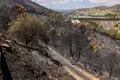 ¿Y ahora qué?: El desafío de reconstruir el campo tras el paso del fuego - ICAL