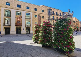 Torres florales en la plaza Liceo. Foto de archivo