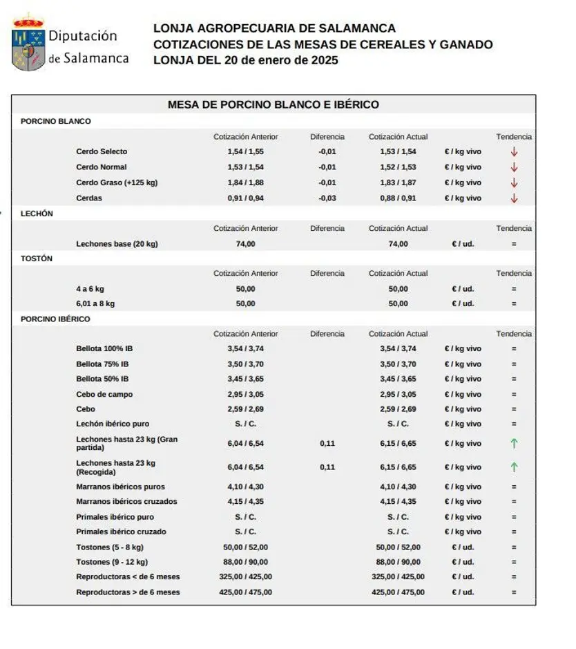 Mesa porcino lonja Salamanca 20 enero 2025