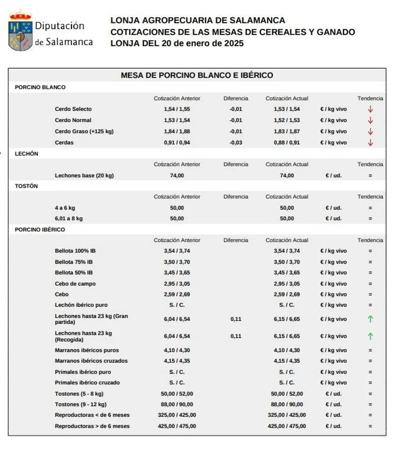 Mesa porcino lonja Salamanca 20 enero 2025