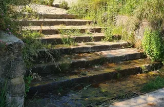 Vecinos de Béjar denuncian la suciedad y maleza acumulada en la subida de la carretera del Castañar