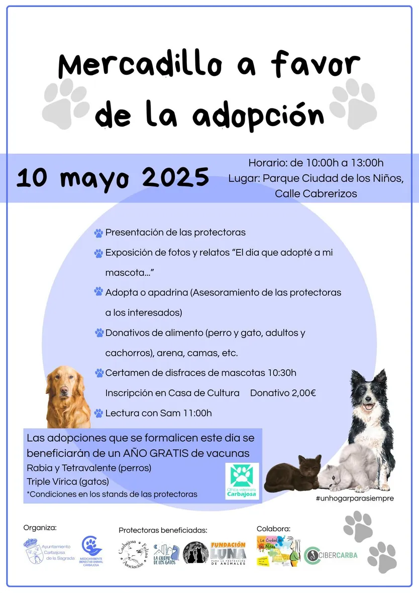 Cartel Mercadillo a favor de la adopción