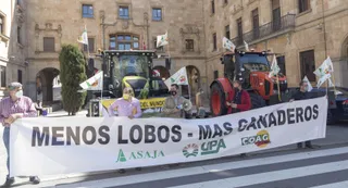 Manifestación de los ganaderos contra el estatus del lobo