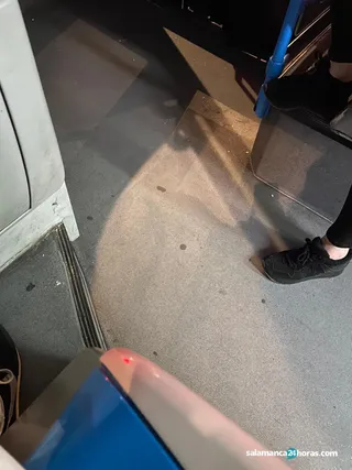 396f04ec 1f9c 416d 8c29 9ef65de07308