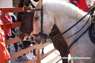 Encierro a caballo Carnaval del Toro 2020 (69)