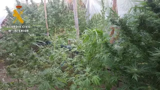 02 10 2019 DROGA CIU ROD