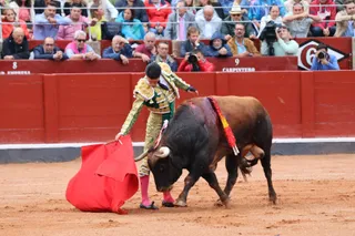Corrida de Garcigrande: momentos más destacados del cuarto festejo de abono de la Feria Taurina Virgen de la Vega 2024. Fotos Andrea M.