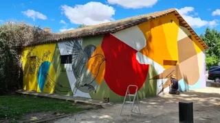 Mural savio