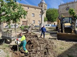 Ciudad Rodrigo Replantación San Salvador