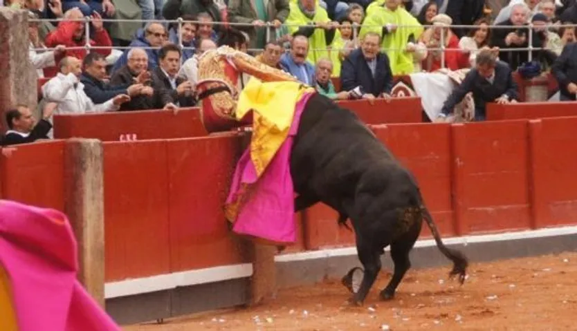 Cogida a Miguel Ángel Perera