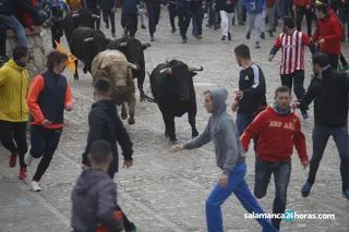 Encierro martes carnaval del toro (26)